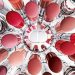 Launch List: The Best New Beauty Launches in May