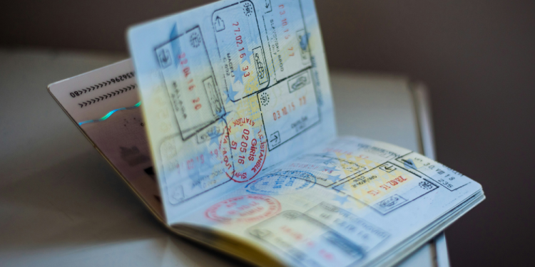 Put Down That Passport: The Global Plastic Surgery Boom Has Arrived Stateside