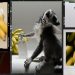 7 Playfully Nostalgic Banana Perfumes to Try This Summer